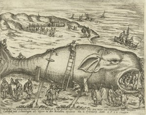 Walvis-2-568x449